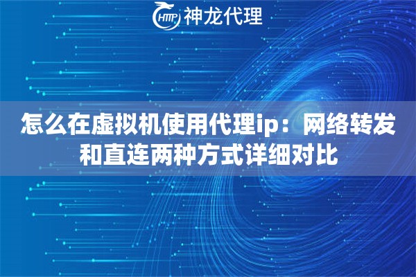 怎么在虚拟机使用代理ip：网络转发和直连两种方式详细对比