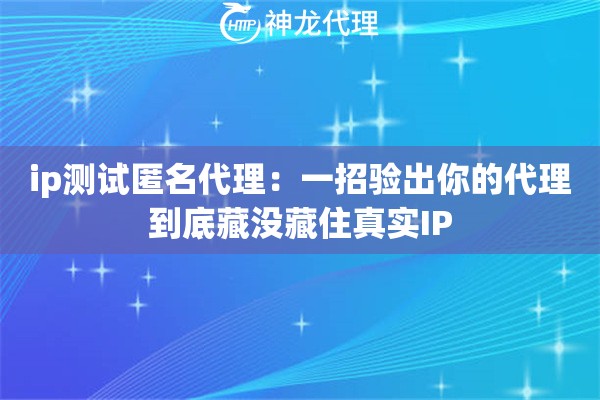 ip测试匿名代理：一招验出你的代理到底藏没藏住真实IP
