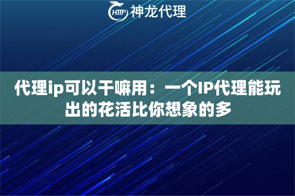 代理ip可以干嘛用：一个IP代理能玩出的花活比你想象的多