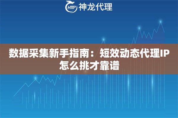 数据采集新手指南：短效动态代理IP怎么挑才靠谱