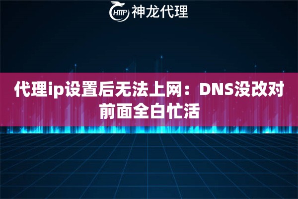 代理ip设置后无法上网：DNS没改对前面全白忙活