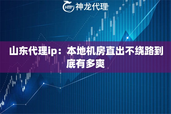 山东代理ip：本地机房直出不绕路到底有多爽