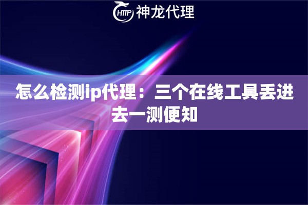 怎么检测ip代理：三个在线工具丢进去一测便知