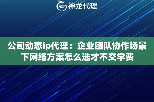 公司动态ip代理：企业团队协作场景下网络方案怎么选才不交学费