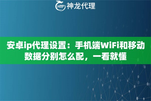 安卓ip代理设置：手机端WiFi和移动数据分别怎么配，一看就懂