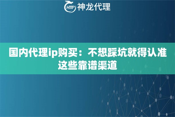 国内代理ip购买：不想踩坑就得认准这些靠谱渠道