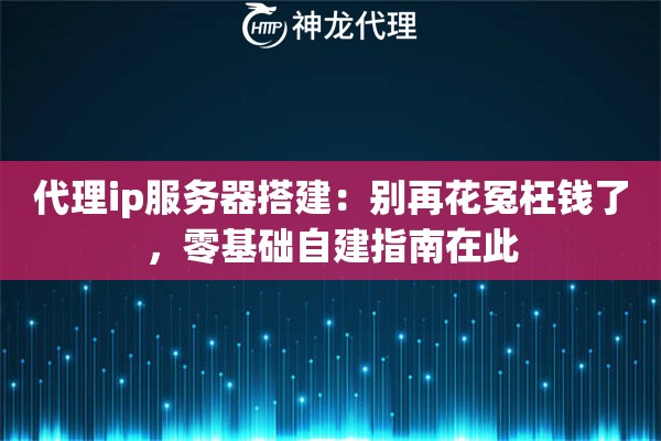 代理ip服务器搭建：别再花冤枉钱了，零基础自建指南在此