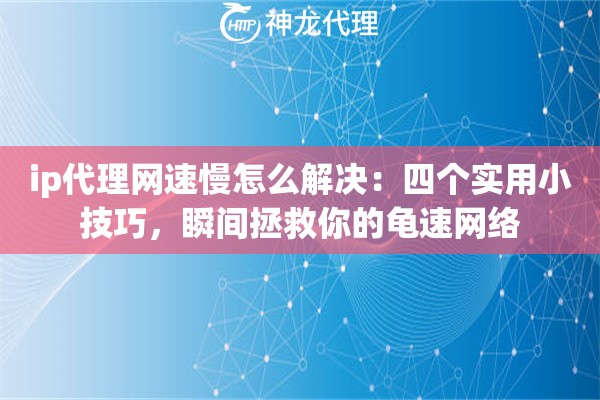 ip代理网速慢怎么解决：四个实用小技巧，瞬间拯救你的龟速网络