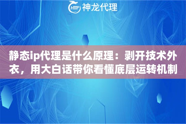 静态ip代理是什么原理：剥开技术外衣，用大白话带你看懂底层运转机制