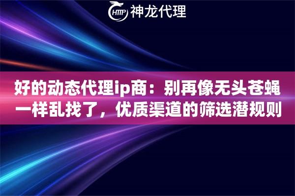 好的动态代理ip商：别再像无头苍蝇一样乱找了，优质渠道的筛选潜规则大公开