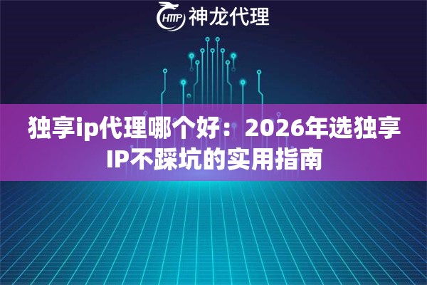 独享ip代理哪个好：2026年选独享IP不踩坑的实用指南