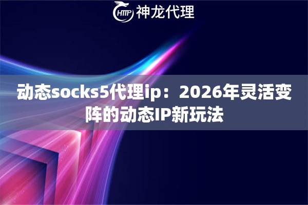 动态socks5代理ip：2026年灵活变阵的动态IP新玩法