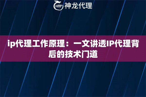 ip代理工作原理：一文讲透IP代理背后的技术门道