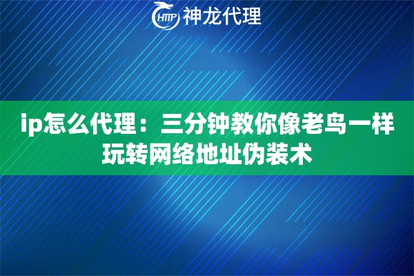 ip怎么代理：三分钟教你像老鸟一样玩转网络地址伪装术