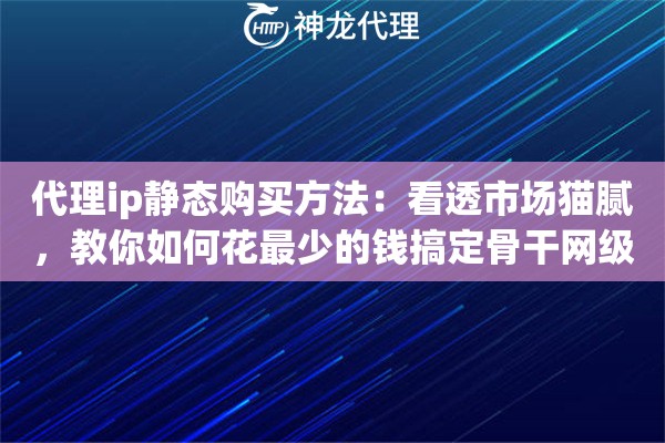 代理ip静态购买方法：看透市场猫腻，教你如何花最少的钱搞定骨干网级独享资源
