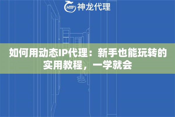 如何用动态IP代理：新手也能玩转的实用教程，一学就会