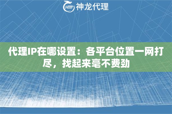 代理IP在哪设置：各平台位置一网打尽，找起来毫不费劲
