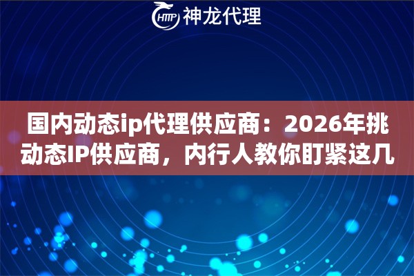 国内动态ip代理供应商：2026年挑动态IP供应商，内行人教你盯紧这几个指标