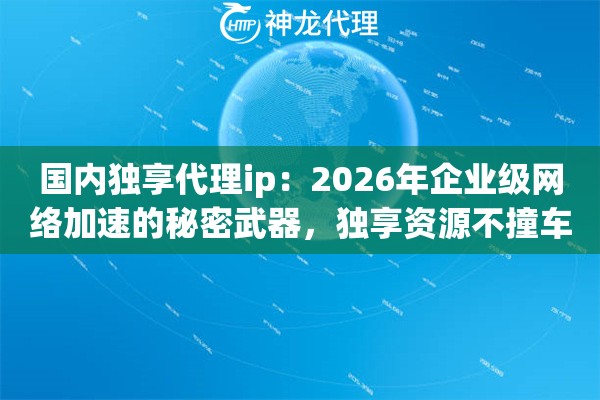 国内独享代理ip：2026年企业级网络加速的秘密武器，独享资源不撞车