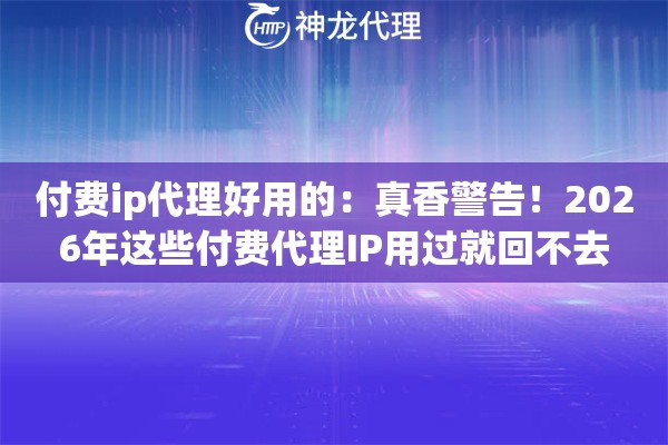 付费ip代理好用的：真香警告！2026年这些付费代理IP用过就回不去