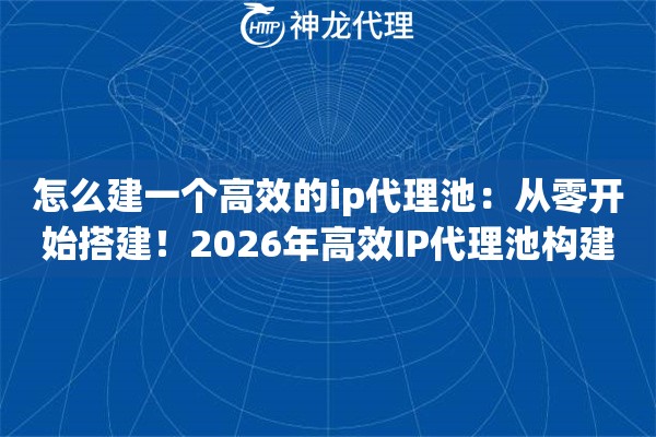 怎么建一个高效的ip代理池：从零开始搭建！2026年高效IP代理池构建全攻略