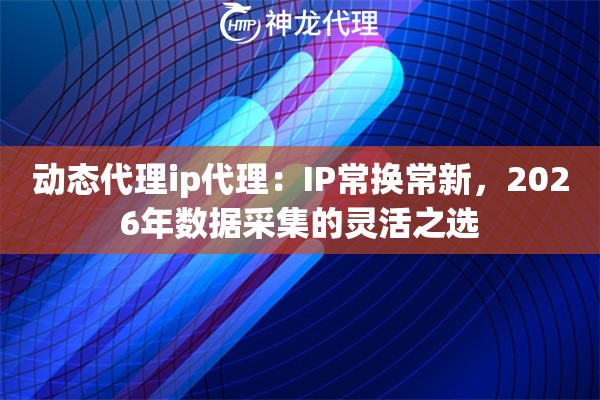 动态代理ip代理：IP常换常新，2026年数据采集的灵活之选