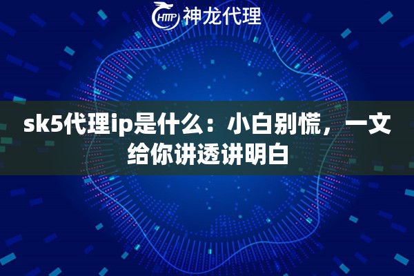 sk5代理ip是什么：小白别慌，一文给你讲透讲明白