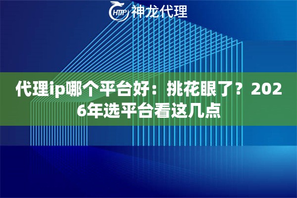 代理ip哪个平台好：挑花眼了？2026年选平台看这几点
