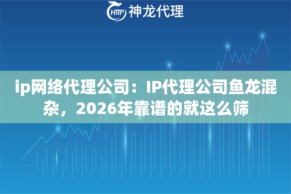 ip网络代理公司：IP代理公司鱼龙混杂，2026年靠谱的就这么筛