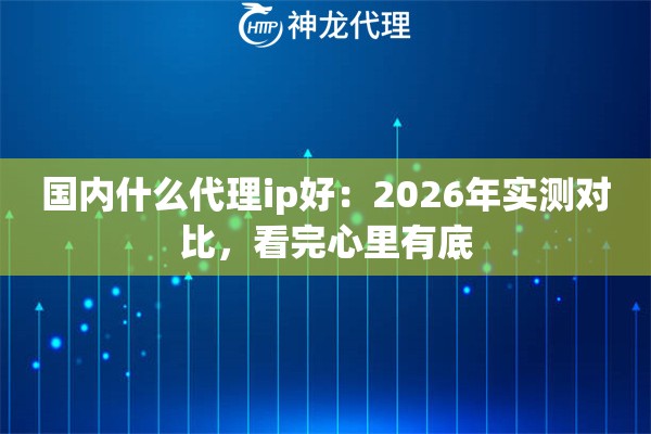 国内什么代理ip好：2026年实测对比，看完心里有底