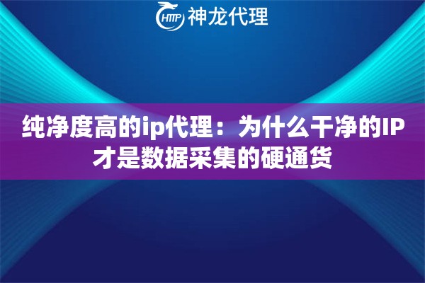 纯净度高的ip代理：为什么干净的IP才是数据采集的硬通货