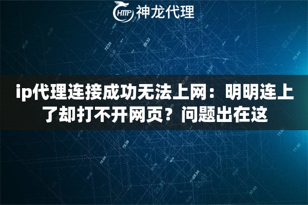 ip代理连接成功无法上网：明明连上了却打不开网页？问题出在这