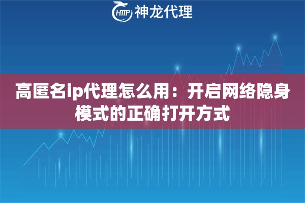 高匿名ip代理怎么用：开启网络隐身模式的正确打开方式