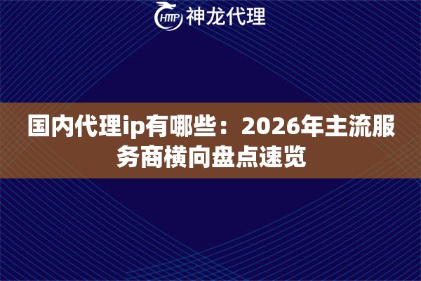 国内代理ip有哪些：2026年主流服务商横向盘点速览