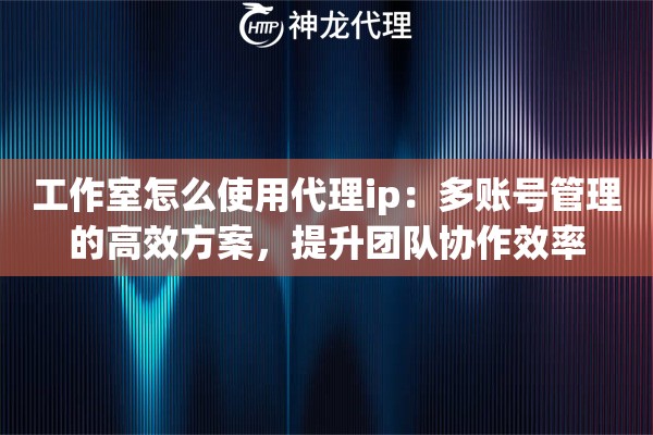 工作室怎么使用代理ip：多账号管理的高效方案，提升团队协作效率