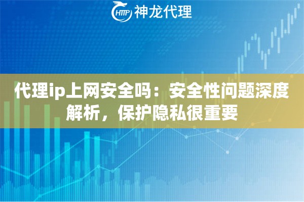 代理ip上网安全吗：安全性问题深度解析，保护隐私很重要