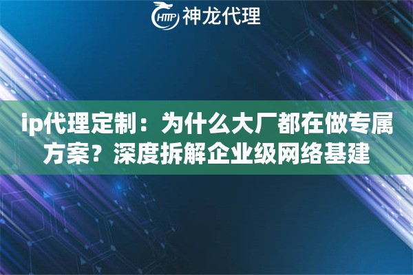 ip代理定制：为什么大厂都在做专属方案？深度拆解企业级网络基建