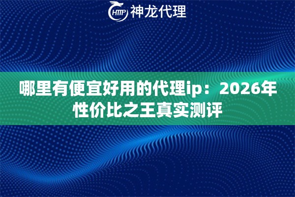 哪里有便宜好用的代理ip：2026年性价比之王真实测评
