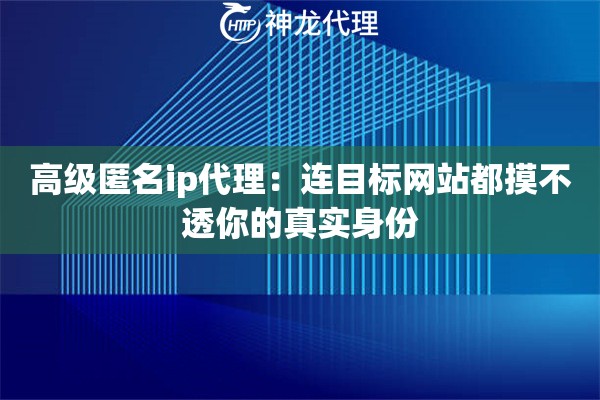 高级匿名ip代理：连目标网站都摸不透你的真实身份