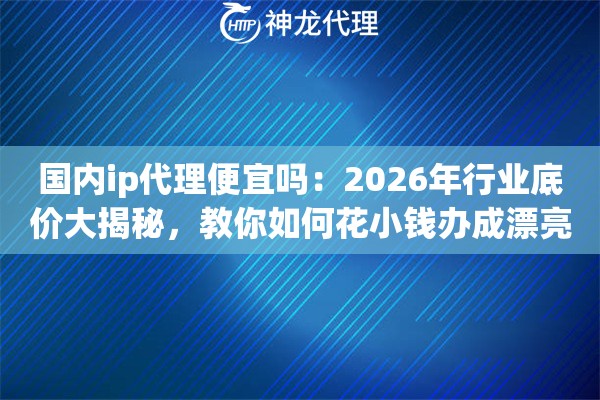 国内ip代理便宜吗：2026年行业底价大揭秘，教你如何花小钱办成漂亮事