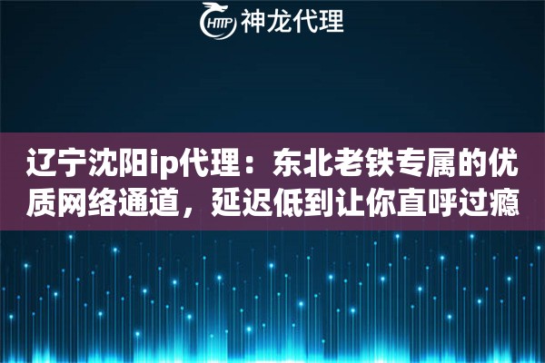 辽宁沈阳ip代理：东北老铁专属的优质网络通道，延迟低到让你直呼过瘾