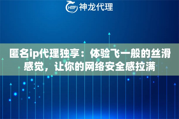 匿名ip代理独享：体验飞一般的丝滑感觉，让你的网络安全感拉满