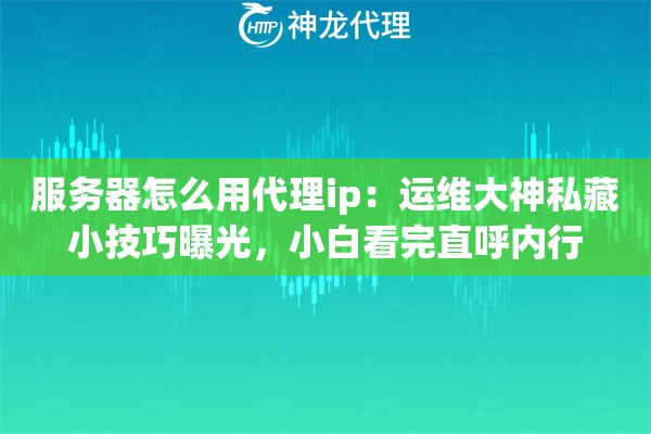 服务器怎么用代理ip：运维大神私藏小技巧曝光，小白看完直呼内行