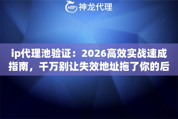 ip代理池验证：2026高效实战速成指南，千万别让失效地址拖了你的后腿