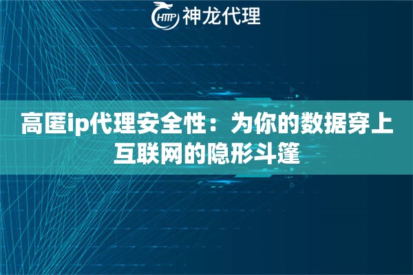 高匿ip代理安全性：为你的数据穿上互联网的隐形斗篷