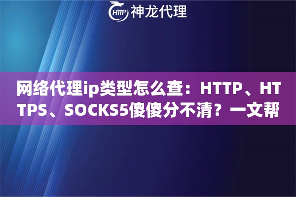 网络代理ip类型怎么查：HTTP、HTTPS、SOCKS5傻傻分不清？一文帮你搞明白