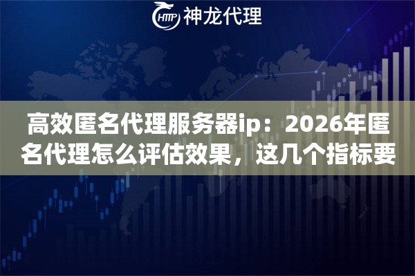 高效匿名代理服务器ip：2026年匿名代理怎么评估效果，这几个指标要看清