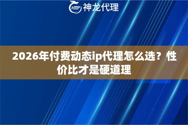 2026年付费动态ip代理怎么选？性价比才是硬道理