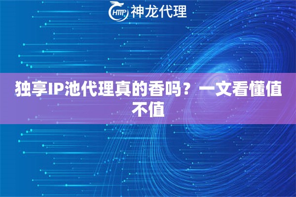 独享IP池代理真的香吗？一文看懂值不值
