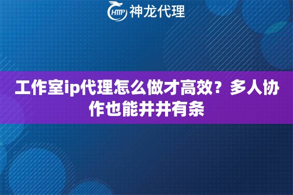 工作室ip代理怎么做才高效？多人协作也能井井有条